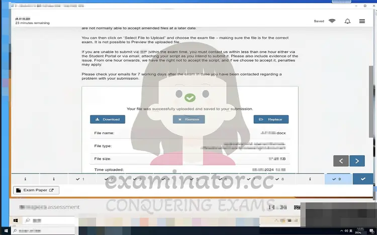 Accounting Cheating Cash Flow